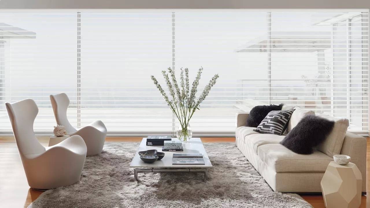 Hunter Douglas Silhouette® Sheer Shades in a Modern Living Room near Tacoma, WA